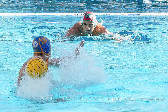 MWP: Salem University Tigers vs UCLA Bruins