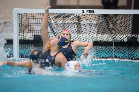 Cal vs San Jose State University
