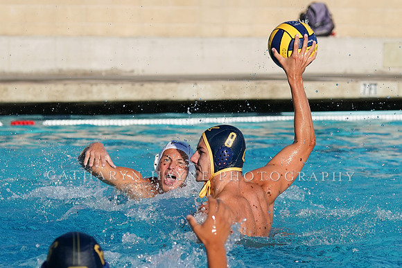 MWP: California Golden Bears vs Cal Baptist University
