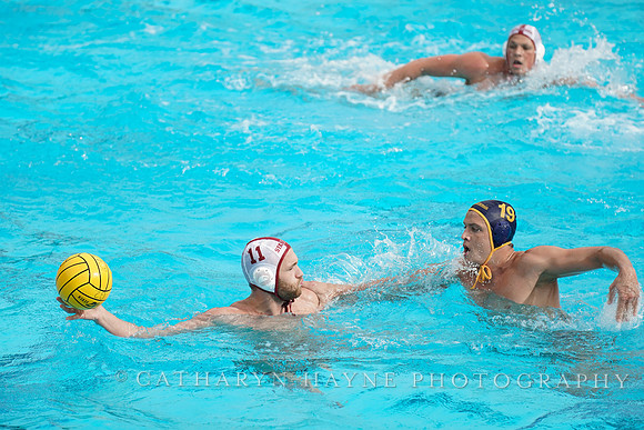 MWP: MPSF:California Golden Bears vs Stanford Cardinals