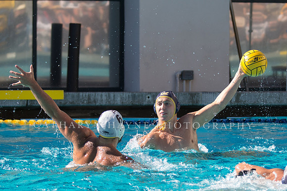 20141102CalvLBSUlr-32
