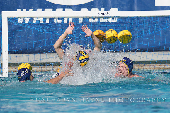 MWP: UC Davis Aggies Alumni Game