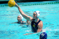 WWP: California Golden Bears vs San Jose State University Spartans