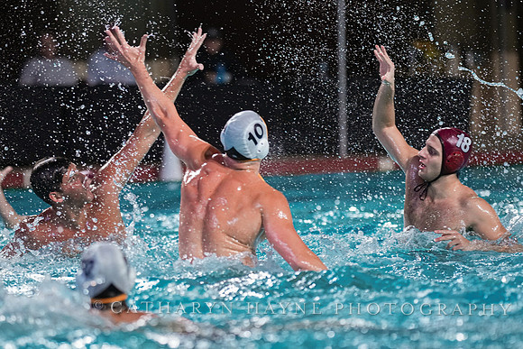 MWP: Fordham University Rams vs Long Beach State