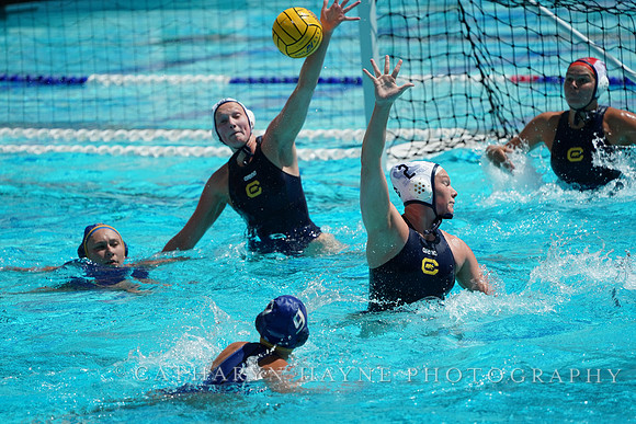 WWP: California Golden Bears vs San Jose State University Spartans