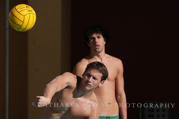 MWP: Salem University Tigers vs UCLA Bruins