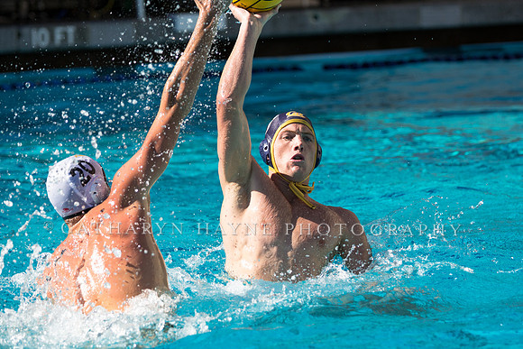 20141102CalvLBSUlr-11