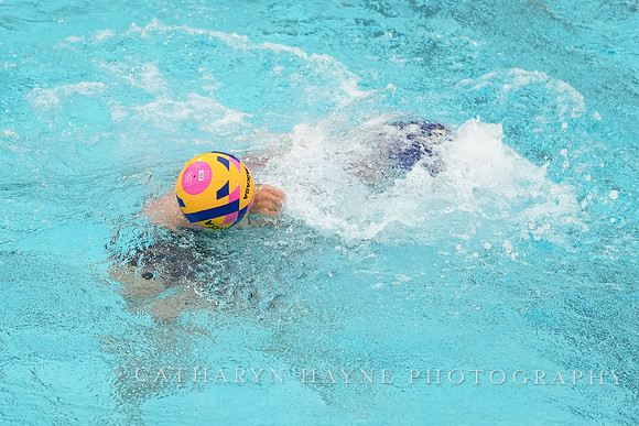 WWP: USA vs China