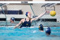 Cal vs Arizona State University Women's Water Polo