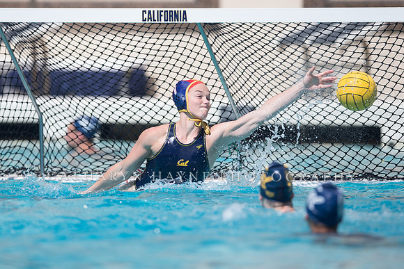 Cal vs Arizona State University Women's Water Polo