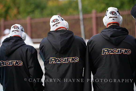 Pacific Tigers