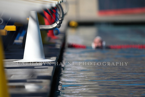 USA Water Polo: Womens Senior Nationals: Cal Golden Bears vs Stanford Cardinals