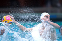 USA Water Polo National League