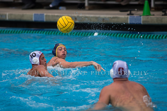 Cal vs Stanford at Mountain Pacific Sports Federation 2016