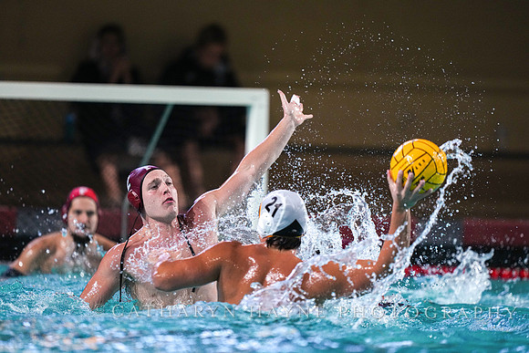 MWP: Fordham University Rams vs Long Beach State