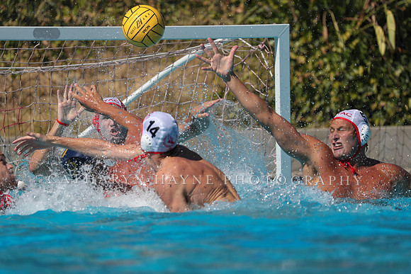 USA Water Polo: National League: NYAC vs Cal