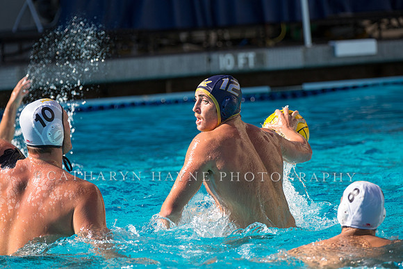 20141102CalvLBSUlr-25