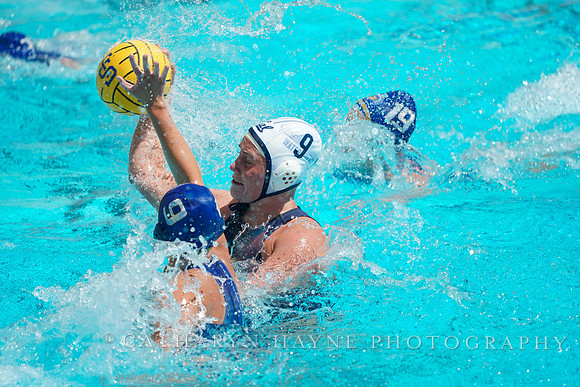 WWP: California Golden Bears vs San Jose State University Spartans
