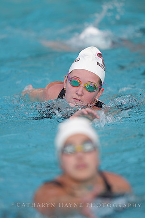 WWP: Brown University Bears vs Santa Clara Broncos