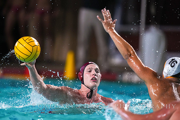 MWP: Fordham University Rams vs Long Beach State