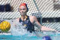 Cal vs Arizona State University Women's Water Polo