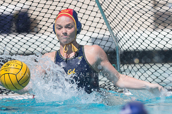 Cal vs Arizona State University Women's Water Polo