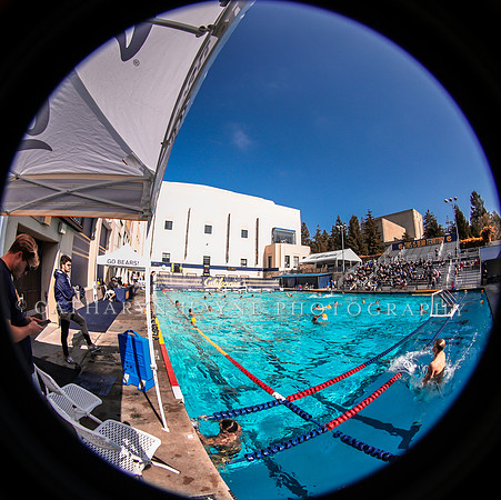 Collegiate Mens Water Polo: California Golden Bears vs UC Santa Barbara Gauchos