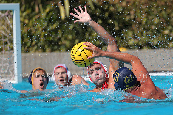 USA Water Polo: National League: NYAC vs Cal