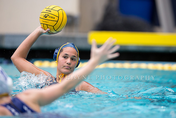 Cal vs San Jose State University