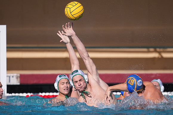 MWP: Salem University Tigers vs UCLA Bruins