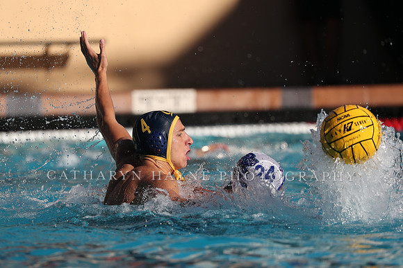 Collegiate Mens Water Polo: MPSF Invitational: California Golden Bears vs UC Santa Barbara Gauchos