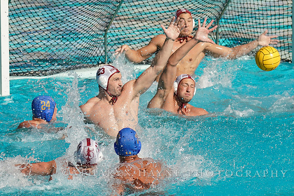 MWP: MPSF:Stanford University Cardinals vs UCLA Bruins