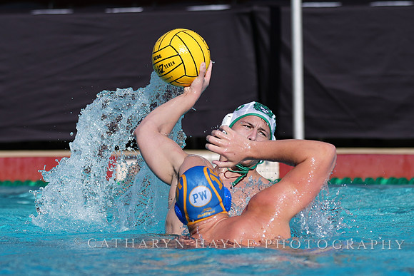 MWP: Salem University Tigers vs UCLA Bruins