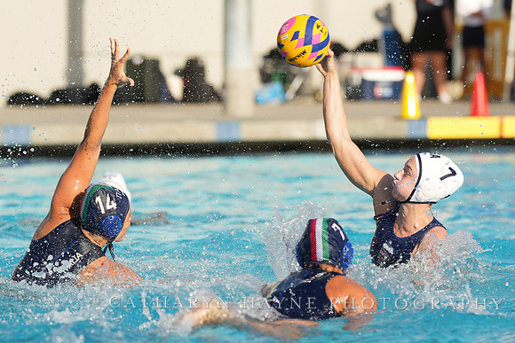 WWP: USA vs Italy
