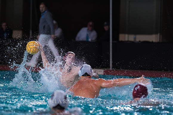 MWP: Fordham University Rams vs Long Beach State