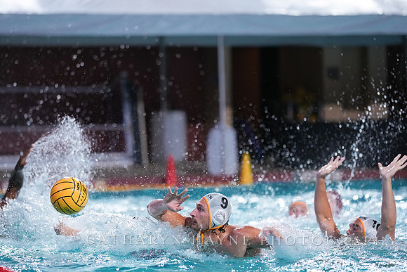 MWP: Fordham University Rams vs Long Beach State