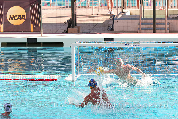 MWP: Salem University Tigers vs UCLA Bruins