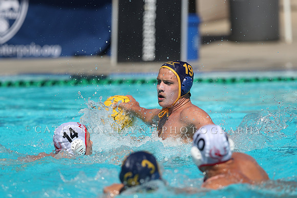USA Water Polo: National League: NYAC vs Cal