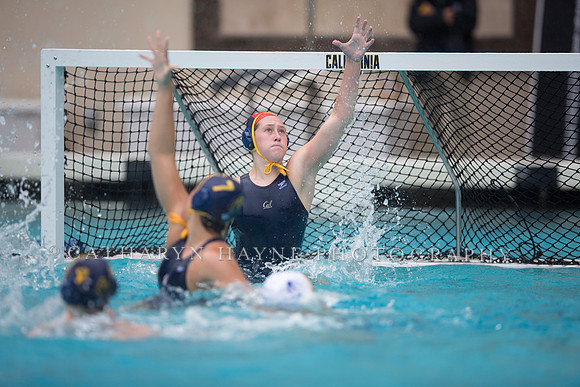 Cal vs San Jose State University