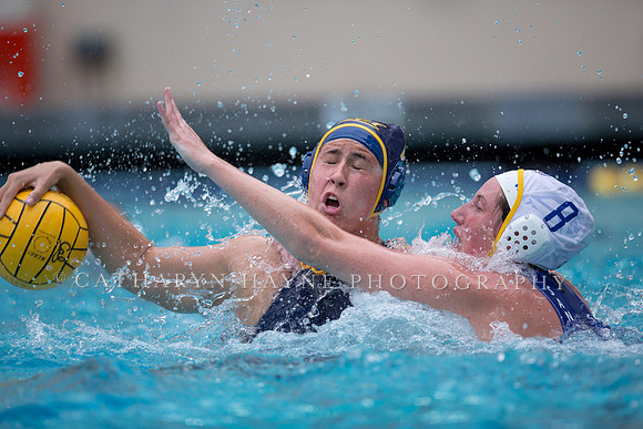 Cal vs San Jose State University