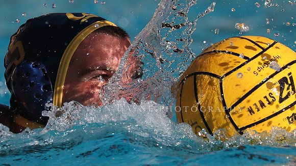 Collegiate Mens Water Polo: MPSF Invitational: California Golden Bears vs UC Santa Barbara Gauchos
