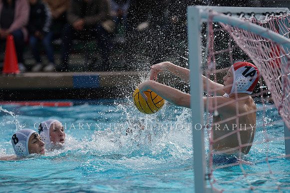 USAWP: Olympic Development Men's Championships: Development: NorthEast Zone vs Coastal Red