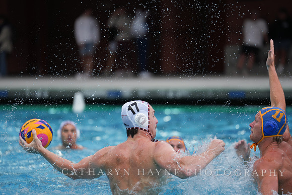 USA Water Polo National League MWP OCLUB vs UCLA