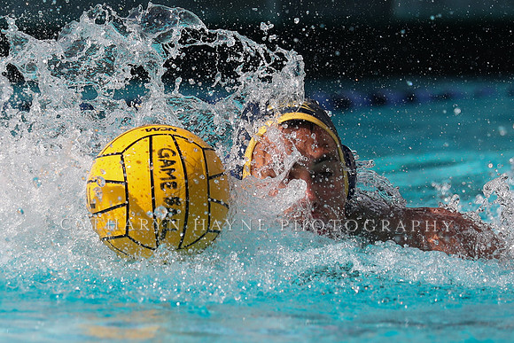 Collegiate Mens Water Polo: California Golden Bears vs UC Santa Barbara Gauchos