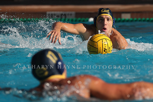 Collegiate Mens Water Polo: MPSF Invitational: California Golden Bears vs UC Santa Barbara Gauchos