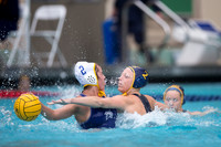 Cal vs San Jose State University