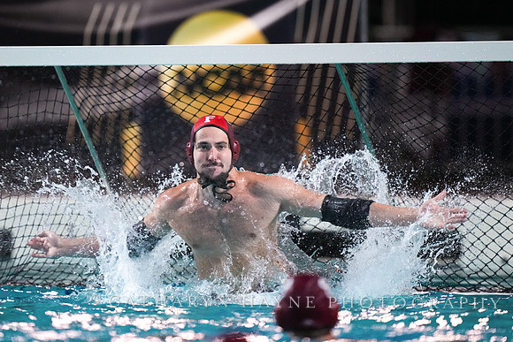MWP: Fordham University Rams vs Long Beach State