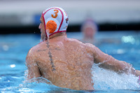 USA Water Polo National League