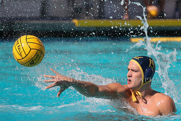 Collegiate Mens Water Polo: California Golden Bears vs UC Santa Barbara Gauchos