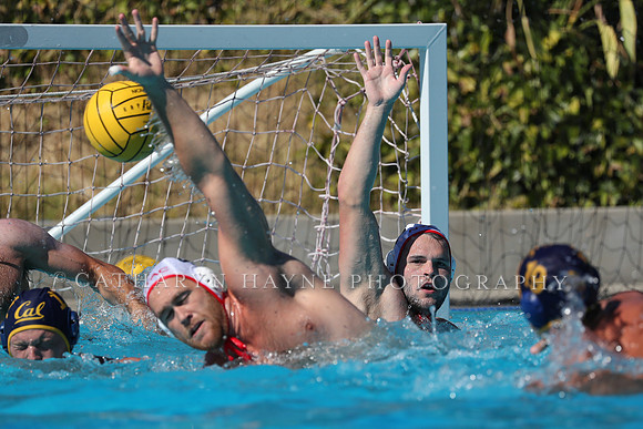USA Water Polo: National League: NYAC vs Cal